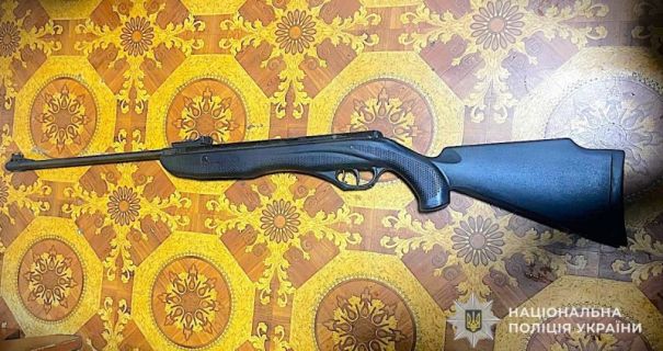 Трагедія на Львівщині: жінку звинуватили у вбивстві собаки з гвинтівки