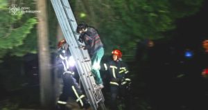 Львівські рятувальники врятували жінку, яка намагалася дістати свого кота з дерева