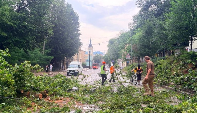 "Стихійне лихо вразило родину: 6-річна дівчинка у Львові постраждала від удару блискавки та опинилася в реанімації".