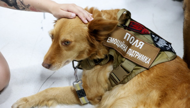 "У Львові представили першу в Україні програму емоційної підтримки ветеранів із залученням терапевтичних собак".
