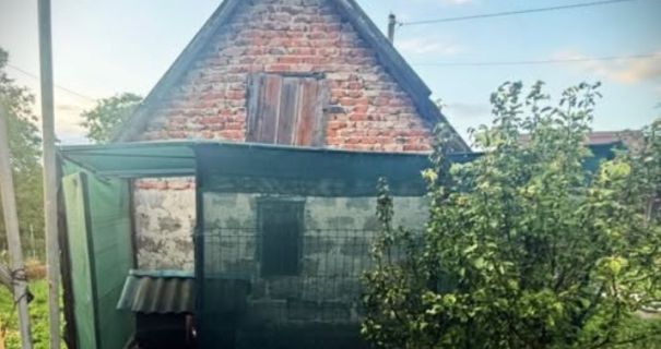 Львівщина: Зарізав собаку ножем і вилами. Завершено розслідування.