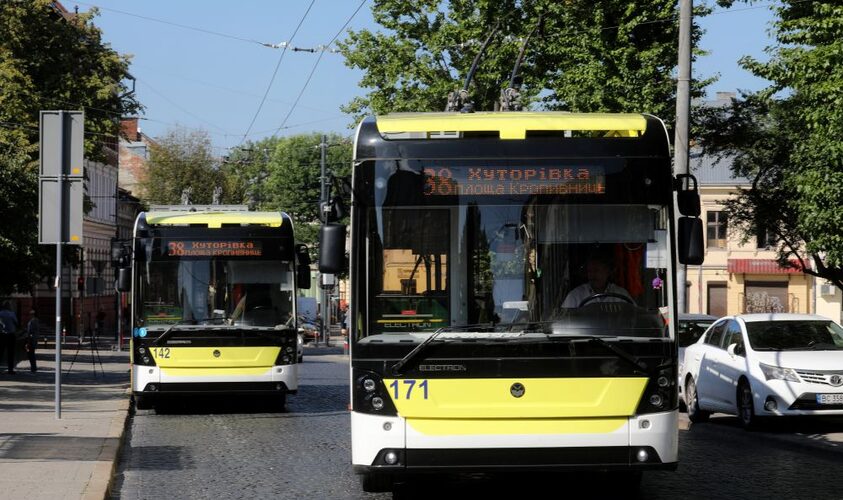 У Львові дерево зупинило тролейбуси: несподівана пригода в міській тиші
